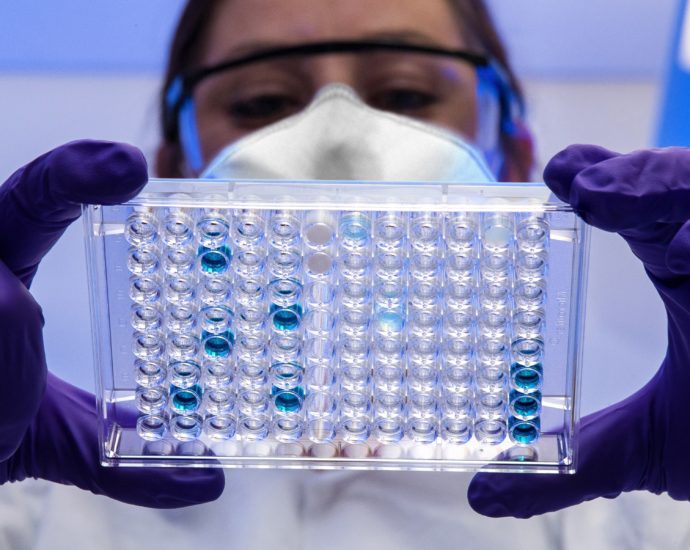 Female scientist reviewing a plate with test samples