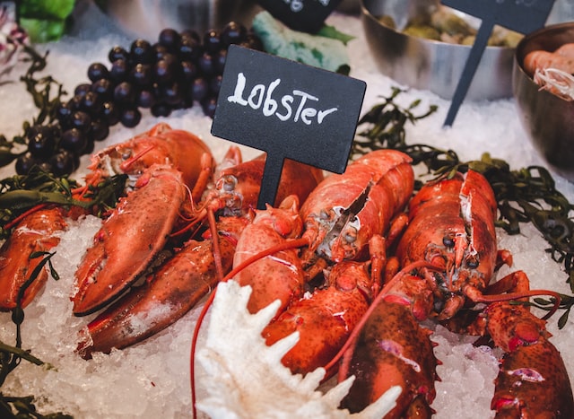 lobster meals
