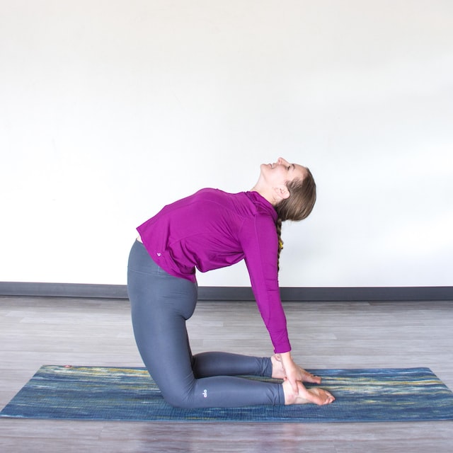 exercises for lower back pain