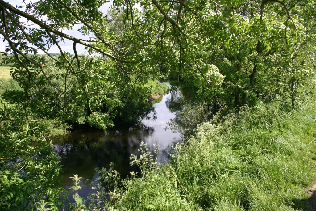 The River Wyre at one of its meanders, covered by trees.