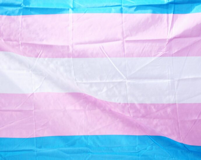 Trans flag