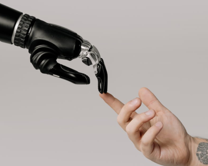 The rise of AI - The future of the human race
