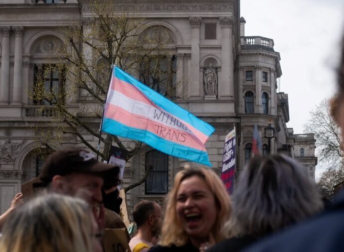 Person waving a transgender flag