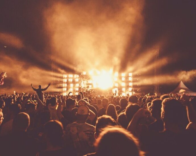 Crowd at a Concert