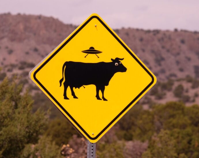 Road sign depicting a UFO abducting a cow.