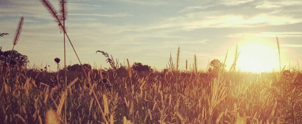 The end of August doesn't have to mean the end of a summer mindset, as we explore the ways in which you can hold onto a sunny disposition.