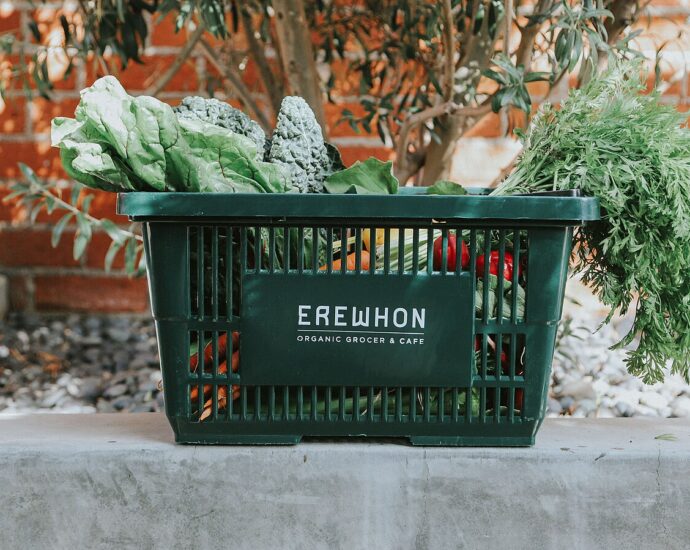 erewhon market shopping basket full of groceries