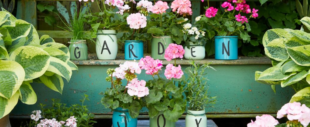 Pink and red flowers in blue ceramic vases on garden wall