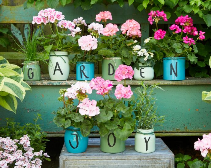 Pink and red flowers in blue ceramic vases on garden wall