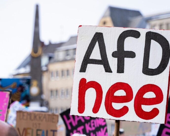 Image of protest signs in Germany. Germany's Far-Right Party