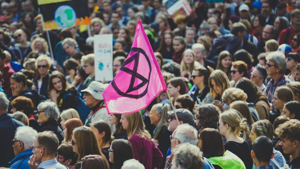 Crowds of protestors with signs
